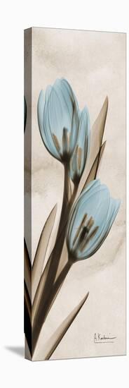 Tulip Moments-Albert Koetsier-Stretched Canvas