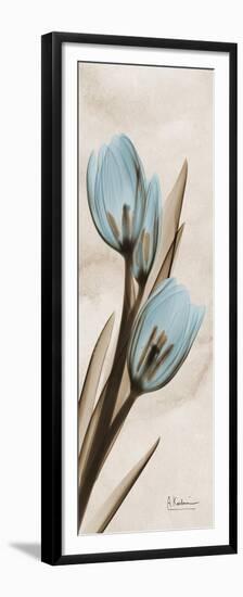 Tulip Moments-Albert Koetsier-Framed Premium Giclee Print