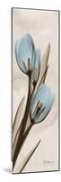 Tulip Moments-Albert Koetsier-Mounted Premium Giclee Print