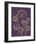 Tulip, no. 13-Botanical Series-Framed Giclee Print