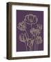 Tulip, no. 13-Botanical Series-Framed Giclee Print