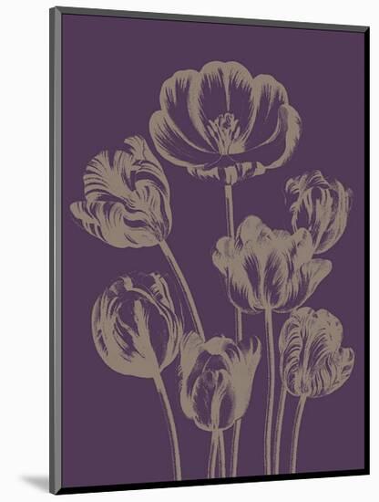 Tulip, no. 13-Botanical Series-Mounted Giclee Print