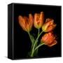 Tulip Orange-Magda Indigo-Framed Stretched Canvas