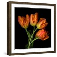 Tulip Orange-Magda Indigo-Framed Photographic Print