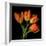 Tulip Orange-Magda Indigo-Framed Photographic Print