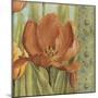 Tulip Paisley II-Lisa Audit-Mounted Giclee Print