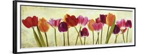 Tulip parade-Luca Villa-Framed Art Print