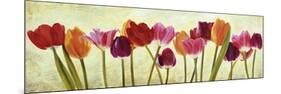 Tulip parade-Luca Villa-Mounted Art Print