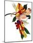 Tulip Parrot1 (Gouache on Paper)-Hiroyuki Izutsu-Mounted Giclee Print