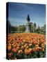 Tulip Patch with Statue of Washington, Boston, Massachusetts,USA-Walter Bibikow-Stretched Canvas