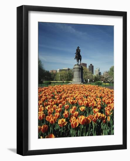 Tulip Patch with Statue of Washington, Boston, Massachusetts,USA-Walter Bibikow-Framed Photographic Print