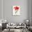 Tulip: Perroquet Rouge-Georg Dionysius Ehret-Giclee Print displayed on a wall