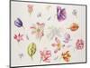 Tulip Pieces-Janneke Brinkman-Salentijn-Mounted Giclee Print