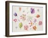 Tulip Pieces-Janneke Brinkman-Salentijn-Framed Giclee Print