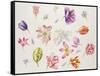 Tulip Pieces-Janneke Brinkman-Salentijn-Framed Stretched Canvas