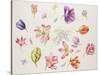 Tulip Pieces-Janneke Brinkman-Salentijn-Stretched Canvas