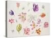 Tulip Pieces-Janneke Brinkman-Salentijn-Stretched Canvas