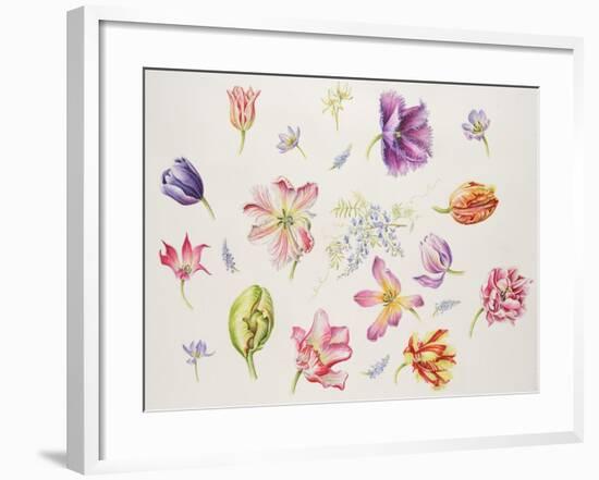 Tulip Pieces-Janneke Brinkman-Salentijn-Framed Giclee Print
