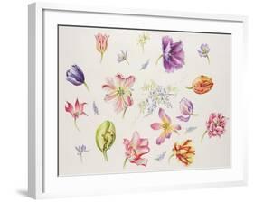 Tulip Pieces-Janneke Brinkman-Salentijn-Framed Giclee Print