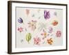 Tulip Pieces-Janneke Brinkman-Salentijn-Framed Giclee Print