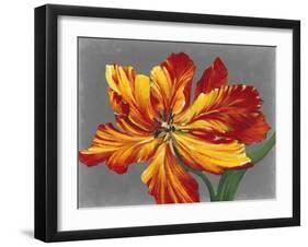 Tulip Portrait I-Tim O'toole-Framed Art Print