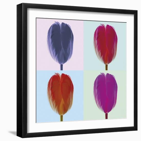 Tulip Quadrant I-Katja Marzahn-Framed Giclee Print