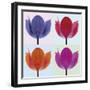 Tulip Quadrant II-Katja Marzahn-Framed Giclee Print