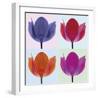 Tulip Quadrant II-Katja Marzahn-Framed Giclee Print