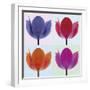 Tulip Quadrant II-Katja Marzahn-Framed Giclee Print