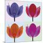 Tulip Quadrant II-Katja Marzahn-Mounted Giclee Print