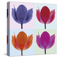 Tulip Quadrant II-Katja Marzahn-Stretched Canvas