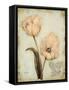 Tulip Recollection-Regina-Andrew Design-Framed Stretched Canvas