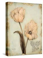 Tulip Recollection-Regina-Andrew Design-Stretched Canvas