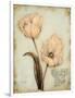 Tulip Recollection-Regina-Andrew Design-Framed Art Print