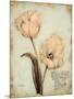 Tulip Recollection-Regina-Andrew Design-Mounted Art Print