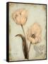Tulip Recollection-Regina-Andrew Design-Framed Stretched Canvas