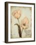 Tulip Recollection-Regina-Andrew Design-Framed Art Print