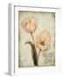 Tulip Recollection-Regina-Andrew Design-Framed Art Print