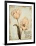 Tulip Recollection-Regina-Andrew Design-Framed Art Print