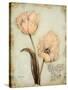 Tulip Recollection-Regina-Andrew Design-Stretched Canvas