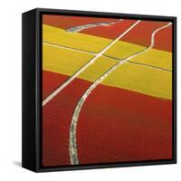 Tulip Roads-Howard Ruby-Framed Stretched Canvas