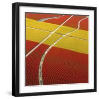 Tulip Roads-Howard Ruby-Framed Photographic Print