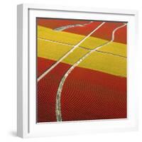 Tulip Roads-Howard Ruby-Framed Photographic Print