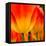 Tulip's Petals-George Lepp-Framed Stretched Canvas