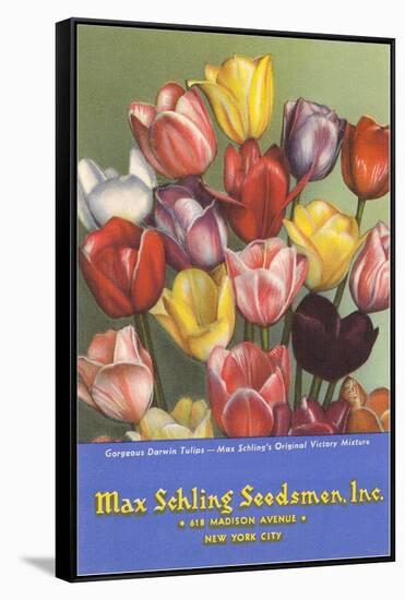 Tulip Seed Packet-null-Framed Stretched Canvas