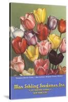 Tulip Seed Packet-null-Stretched Canvas