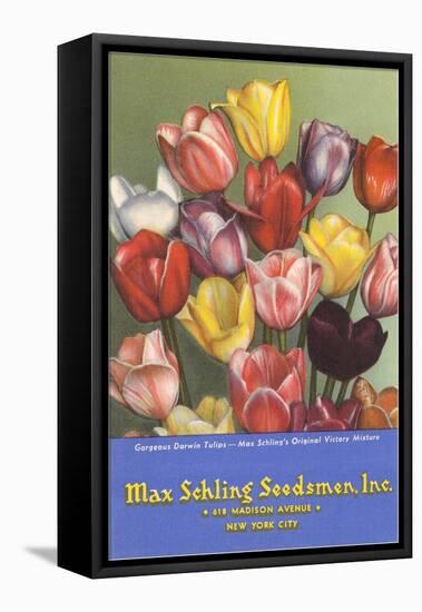 Tulip Seed Packet-null-Framed Stretched Canvas