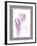 Tulip Shadow I-Bill Philip-Framed Giclee Print