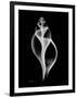 Tulip Shell Xray-Albert Koetsier-Framed Art Print