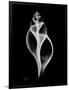 Tulip Shell Xray-Albert Koetsier-Framed Art Print